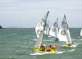 Royal Cargo All Souls Regatta © Martyn Willes