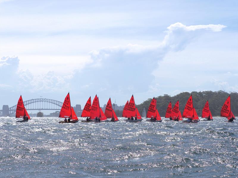 53rd Australian Mirror Nationals and 2019 Pre-Worlds in Sydney - photo © Robert Owe-Young