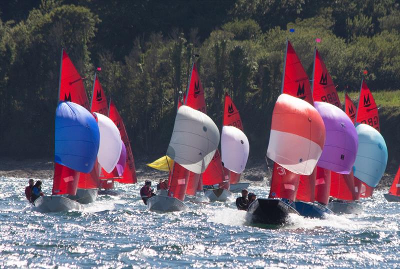Alan and Emily Krailing in 70538 Ace of Spades lead the fleet in race 3 during the Gul Mirror Nationals at Restronguet photo copyright Kyle Brown taken at Restronguet Sailing Club and featuring the Mirror class