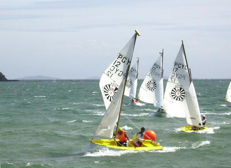 Royal Cargo All Souls Regatta photo copyright Martyn Willes taken at Puerto Galera Yacht Club and featuring the Mirror class