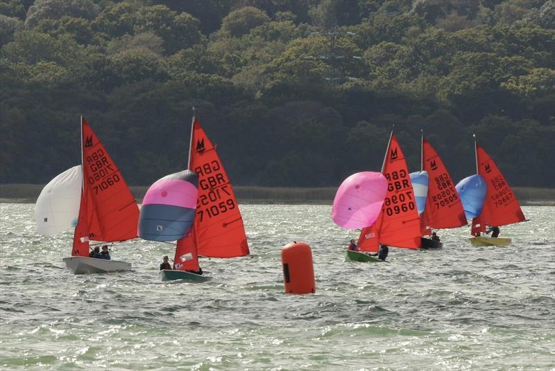 Mirror UK National Championship 2025 at Netley Sailing Club photo copyright Andrew Burge taken at Netley Sailing Club and featuring the Mirror class