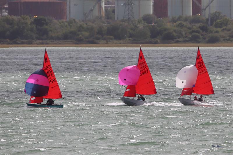 Mirror UK National Championship 2025 at Netley Sailing Club photo copyright Tim Bees taken at Netley Sailing Club and featuring the Mirror class