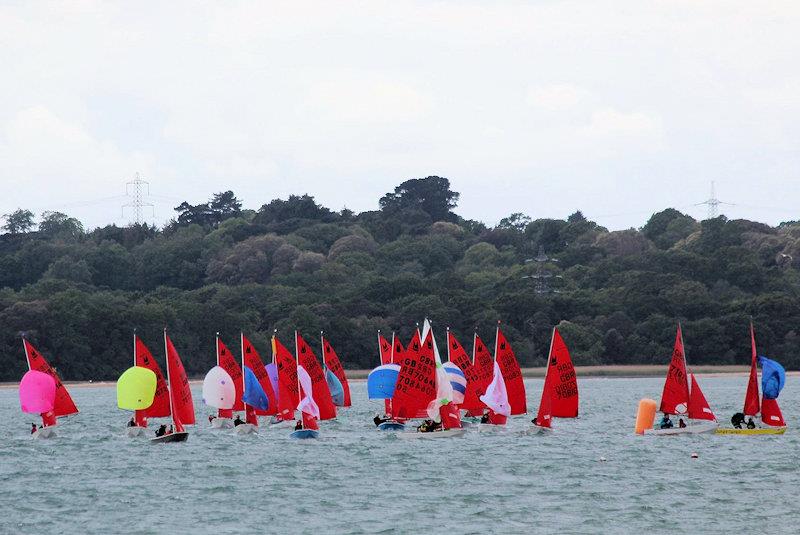 Mirror Southern Championship at Netley - photo © Anna Parker