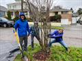 Let the tree-rescue games begin! © David Schmidt