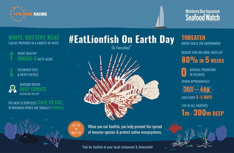 EatLionfish on Earth Day (22nd April) Infographic photo copyright 11th Hour Racing taken at 