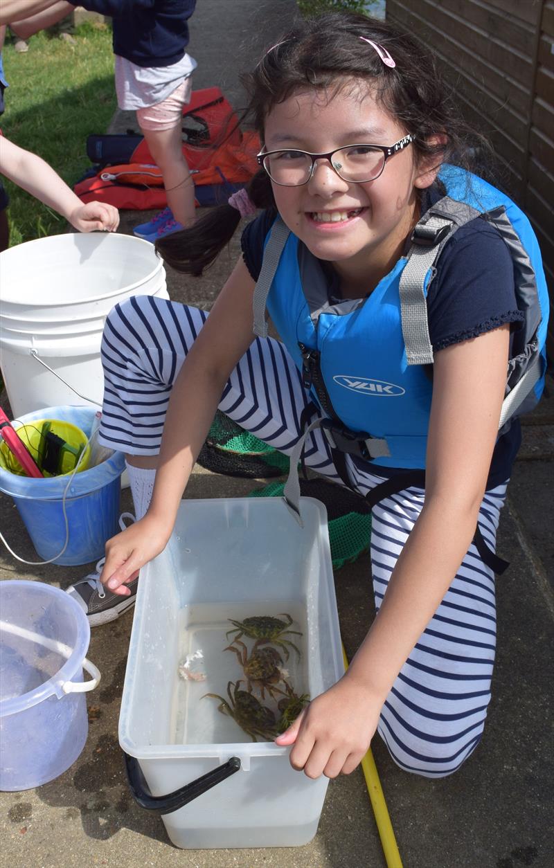 Crabbing competition at Blackwater SC Annual Regatta 2017 photo copyright Christine Brown taken at Blackwater Sailing Club