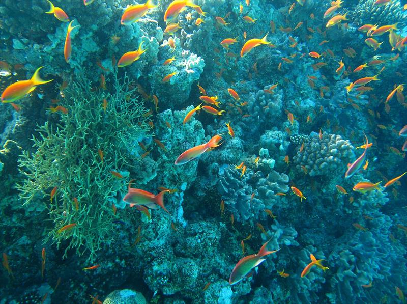 Ocean Sustainability - photo © www.3D.sk