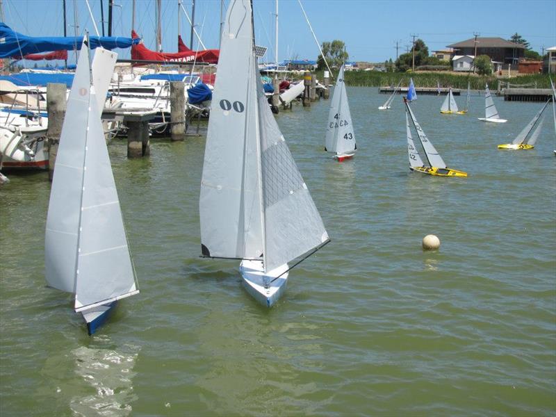 Model Yachts in GRYC Marina - Goolwa Regatta Week - photo © Mike O'Reilly