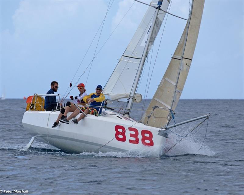 The Russian Mini Transat 6.50, Pjotr Lezhnin Racing fresh from the Mini Transat 2018, had a good week - Barbados Sailing Week 2018 photo copyright Peter Marshall / BSW taken at Barbados Cruising Club