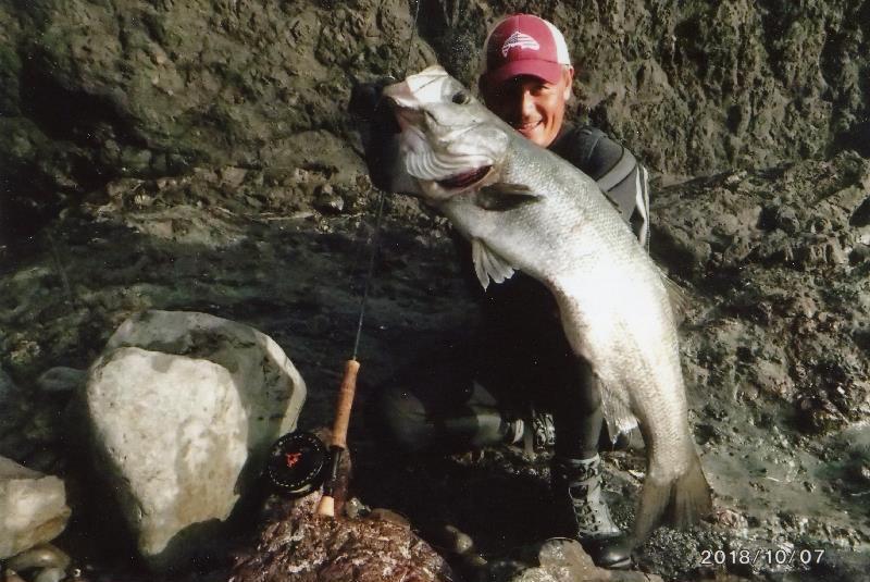 Japanese angler Takeshi Ihara potentially set the new men's 10kg tippet class world record for blackfin seabss (Lateolabrax latus) with this impressive 6.10-kg fish that he caught while fly fishing from the shoreline of Tokushima, Japan on October 7, 2018 - photo © IGFA