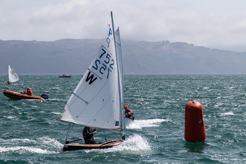 P Class: Day 1 2018 Tanner Cup - Evans Bay Yacht & Motor Boat Club - January 3, 2019 - photo © Deb Williams