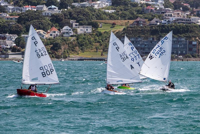 P Class: Day 1 2018 Tanner Cup - Evans Bay Yacht & Motor Boat Club - January 3, 2019 - photo © Deb Williams