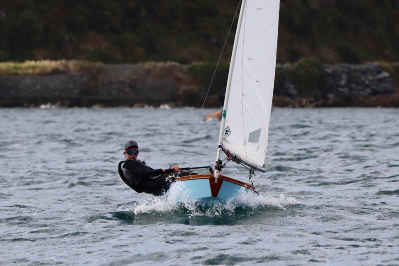 Tauranga Cup - Evans Bay Yacht and Motor Boat Club - January 2019 photo copyright Richard Beauchamp taken at Evans Bay Yacht & Motor Boat Club