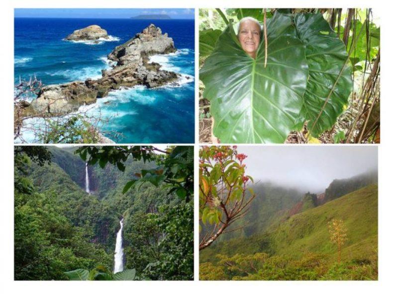 The hiking in these islands is fabulous with incredible vistas, lush rain forest and waterfalls - photo © Rod Morris