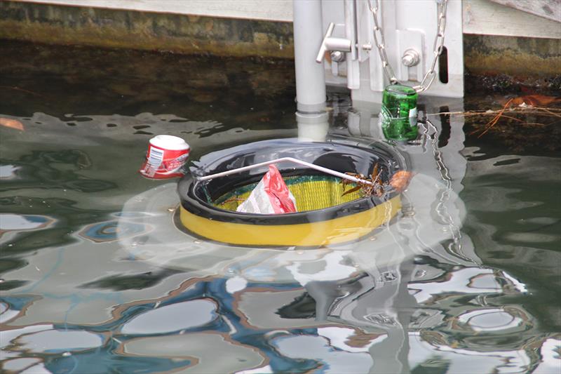 Seabin installed at d'Albora Marinas Cabarita Point - photo © Edward Shute