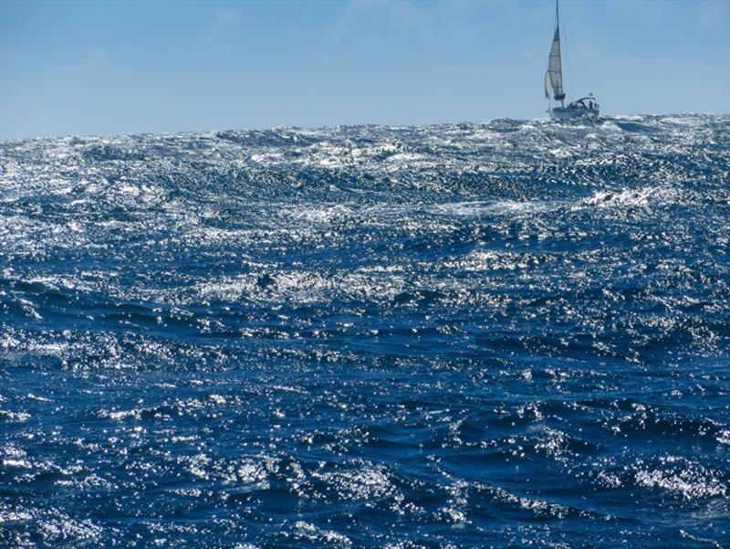 March winner 1 - Colin Pelton - Sailing the horizon - photo © Colin Pelton