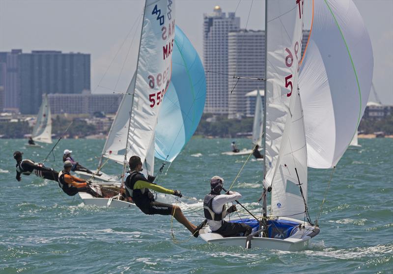 Top of the Gulf Regatta 2019. Mixed dinghy fleet photo copyright Guy Nowell / Top of the Gulf Regatta taken at Ocean Marina Yacht Club