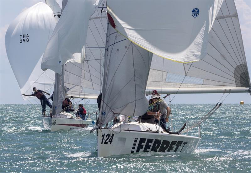 Top of the Gulf Regatta 2019. The Ferret photo copyright Guy Nowell / Top of the Gulf Regatta taken at Ocean Marina Yacht Club