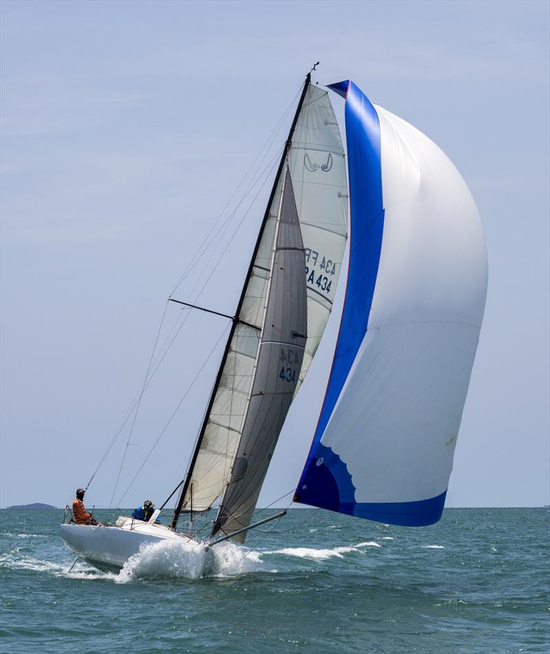 Top of the Gulf Regatta 2019. Ink Zone photo copyright Guy Nowell / Top of the Gulf Regatta taken at Ocean Marina Yacht Club