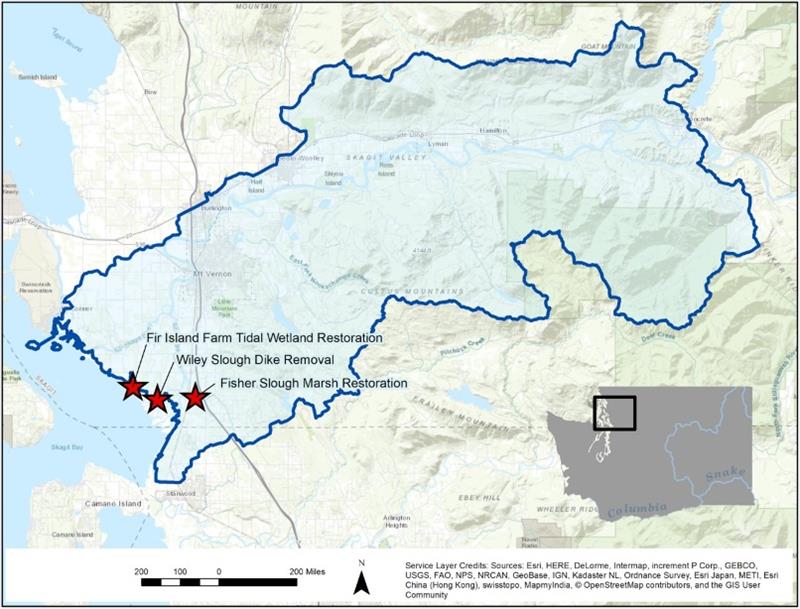 NOAA-supported projects in the Skagit River estuary. - photo © NOAA Fisheries