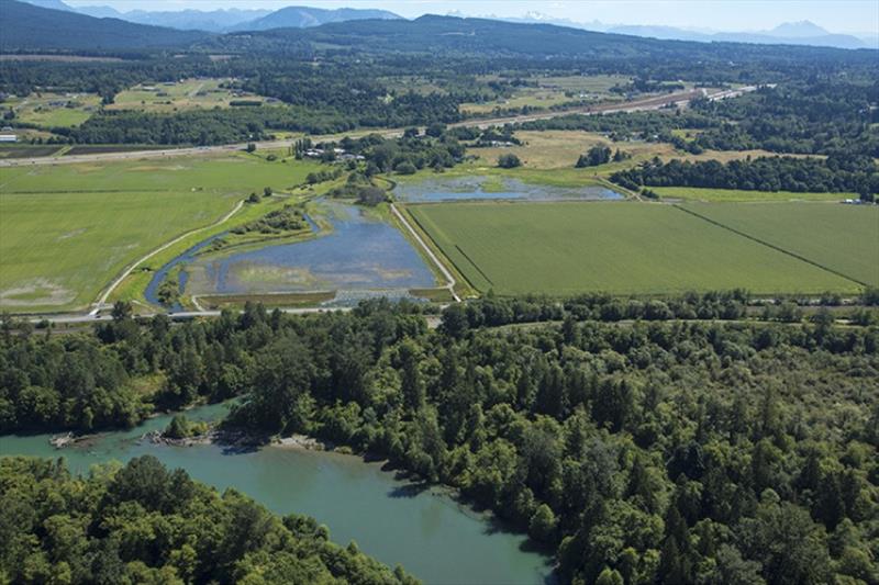 Fisher Slough after restoration. - photo © OneEarth Images