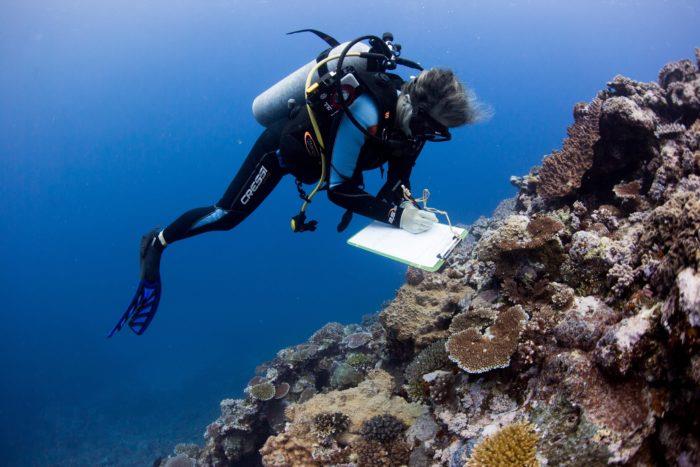 A marine scientist gathers data on coral reefs near Fiji for the largest coral study ever conducted photo copyright Emily Darling / WCS taken at 