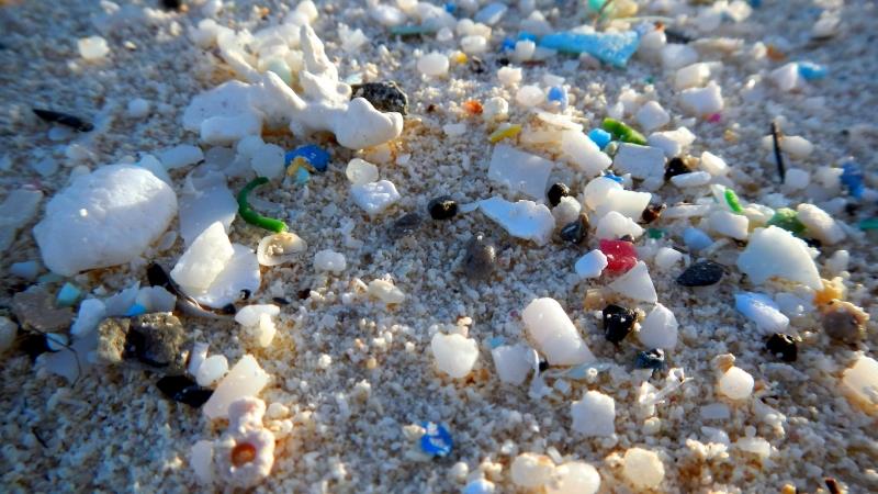 Microplastics are becoming a major problem on beaches around the world (NOAA) photo copyright NOAA Fisheries taken at 
