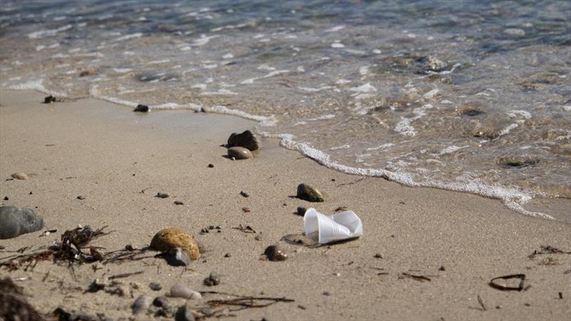 Polystyrene pollution at the tide's edge photo copyright Jayne Doucette, Woods Hole Oceanographic Institution taken at 