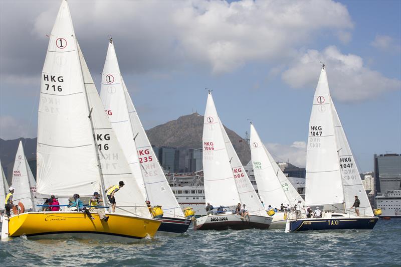 BuyAssociation HKRNVR Pursuit Race 2020 presented by RHKYC - photo © RHKYC / Guy Nowell