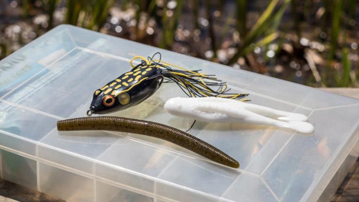 Frogs and topwater swimmers - photo © FLW