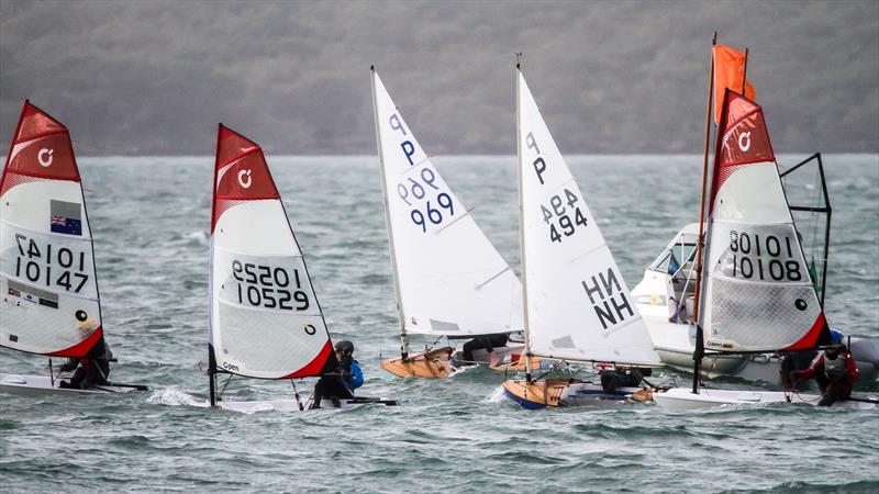 Winter Series - Wakatere Boating Club - Narrow Neck - June 7, 2020 - photo © Richard Gladwell / Sail-World.com