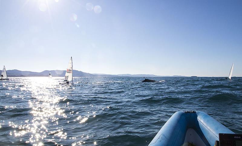 On board with AST Finn Coach, the Maharajah of Finns, none other than Rafael Trujillo, as the Humpbacks investigate the AST squad. - photo © John Curnow