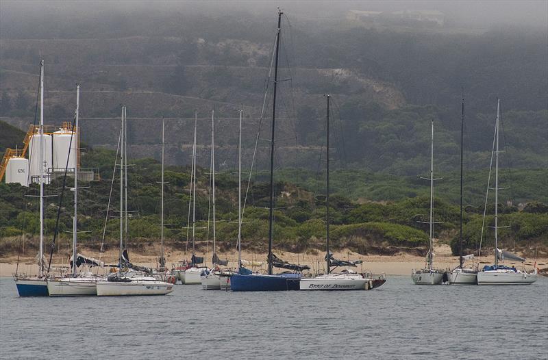 Raft up in Grassy Harbour (King Island) is not going to happen in 2020 photo copyright John Curnow taken at 