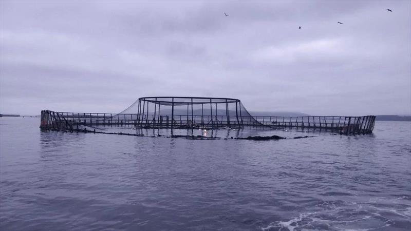 Pen when fire out - photo © Huon Aquaculture