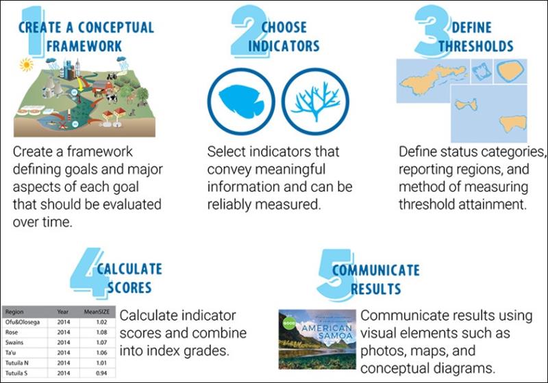 5-Step process was used to create the status reports photo copyright NOAA Fisheries taken at 