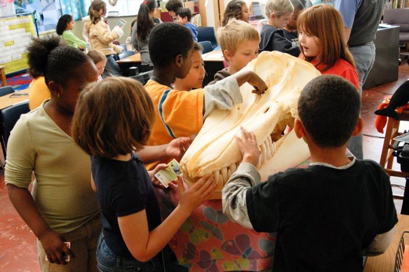 Students enjoy activities as part of the Killer Whale Tales program in their classroom photo copyright Killer Whale Tales taken at 