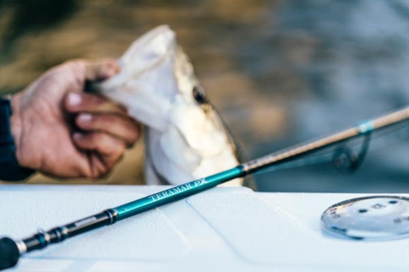Teramar PX Southeast - photo © Shimano