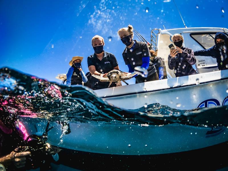 Cape2Rio Race 2023 signs a partnership agreement with the Two Oceans Aquarium photo copyright The Royal Cape Yacht Club taken at 