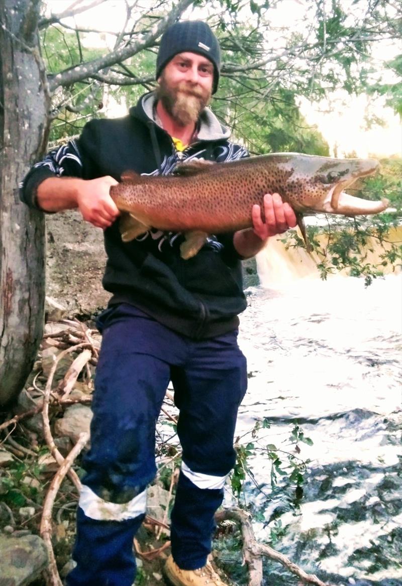 Brendan Colins with a wild brown trout from the Tyenna River photo copyright Carl Hyland taken at 