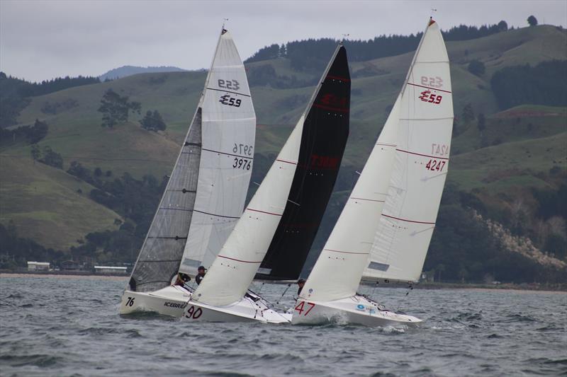 Icebreaker, Bloodline and R&R photo copyright Elliott 5.0 Association taken at Napier Sailing Club