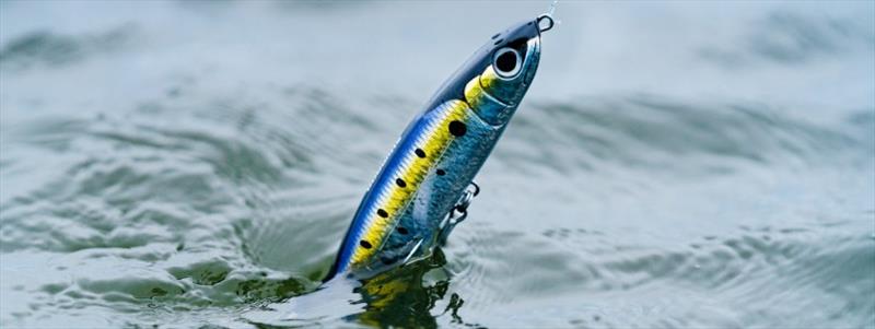 Shimano Coltsniper Splash Walk - photo © Shimano