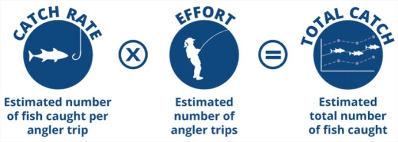 MRIP estimation process, Catch rate effort, total catch - photo © NOAA Fisheries