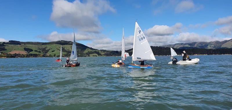 Charlotte Palmer (Charteris Bay YC) with her Doyle P-class sail photo copyright Doyle Sails taken at Charteris Bay Yacht Club