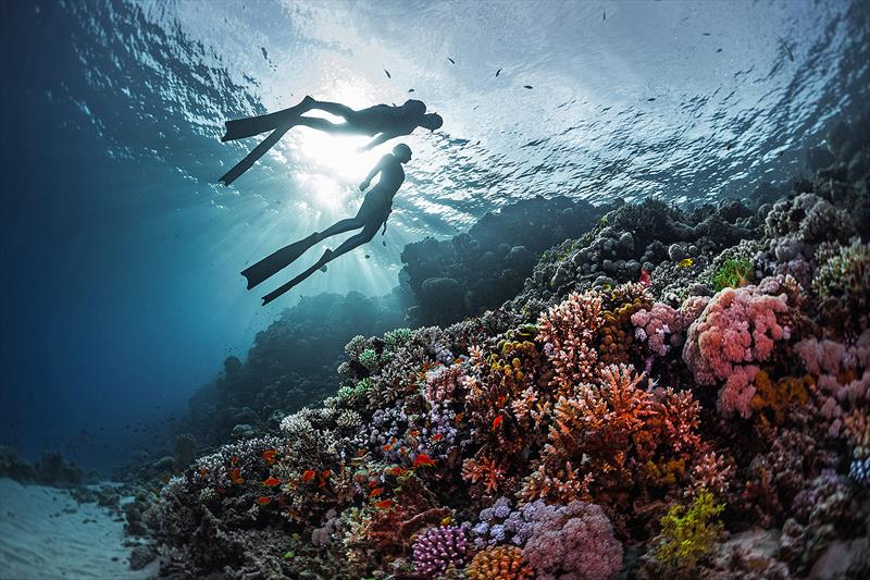 Two freedivers swimming underwater over vivid coral reef. Red Sea, Egypt - Spending a day diving with your buddy is an incredible day of adventure photo copyright West Nautical taken at 
