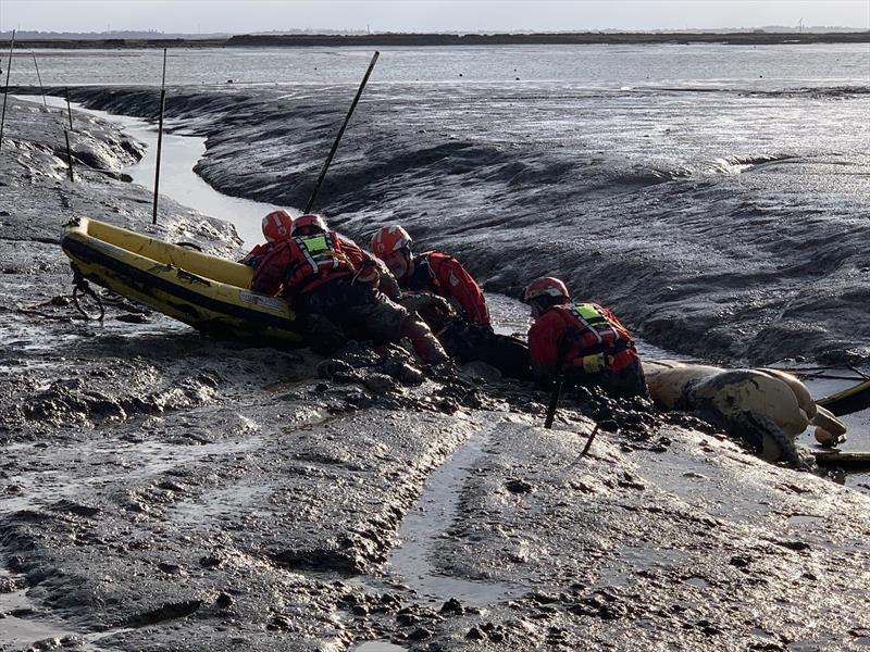 Horse rescue training for Essex County Fire and Rescue Service at Blackwater Sailing Club photo copyright Zoe Nelson taken at Blackwater Sailing Club