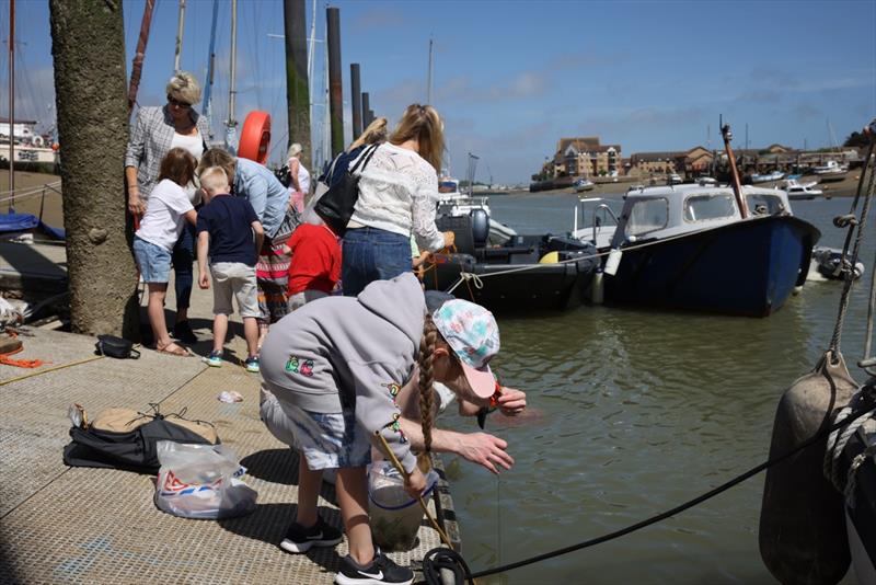 Sussex Yacht Club Festival of the Water - photo © Chris Hawkes