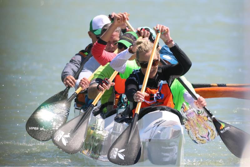 Sussex Yacht Club Festival of the Water - photo © Chris Hawkes