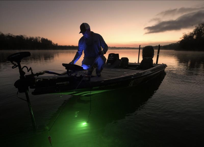 Nebo's Submerser and Omni Dock Lights illuminate night fishing