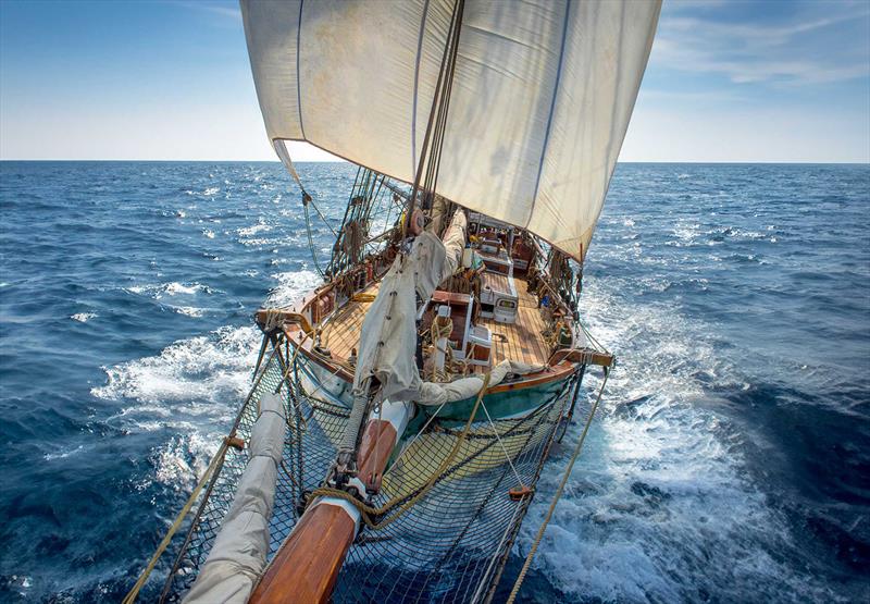 Historic vessel sailing - S/V Vega photo copyright Shane Granger taken at 