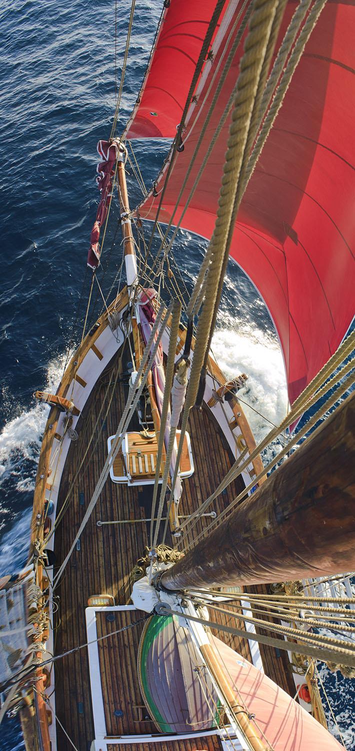 Room with a view on S/V Vega - photo © Shane Granger